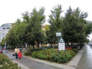 Der neue Schleidenplatz. Die traurigen Tatsachen liegen hinter dem satten Grün. (Foto: Wikipedia)