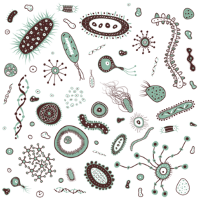 "Haben Bakterien auch Bakterien?" Ein schönes Doodle mit Bakterien und Viren von DragonArtz Designs: http://dragonartz.wordpress.com/2009/05/08/bacteria-and-virusses-vector/